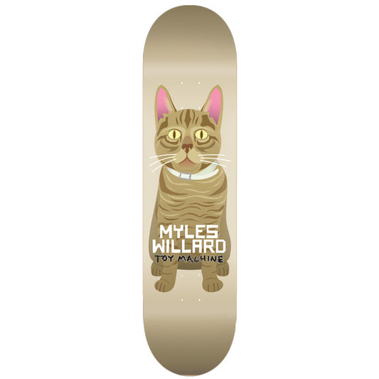 MYLES WILLARD CAT 8.13